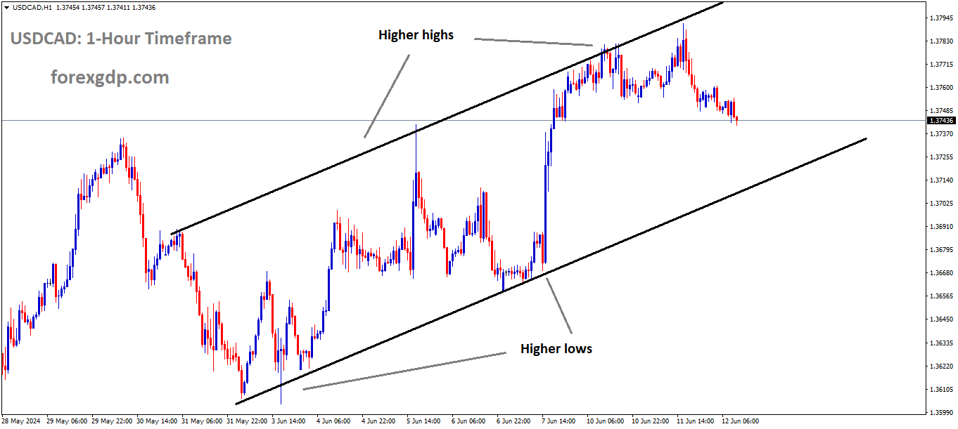 USDCAD is moving in an Ascending channel and the market has fallen from the higher high area of the channel