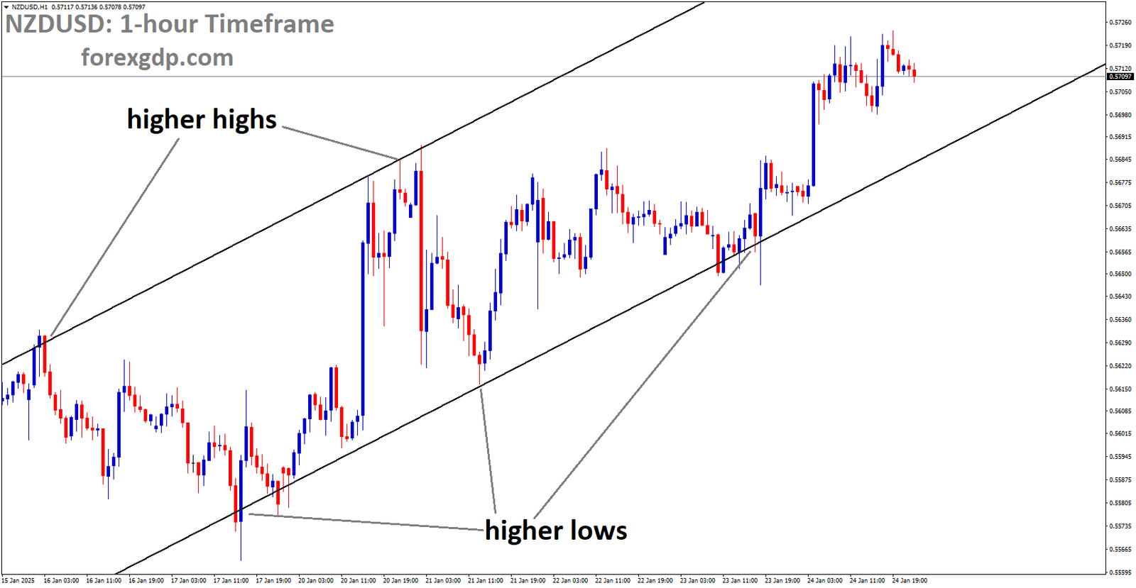 NZDUSD is moving in an Ascending channel and the market has rebounded from the higher low area of the channel