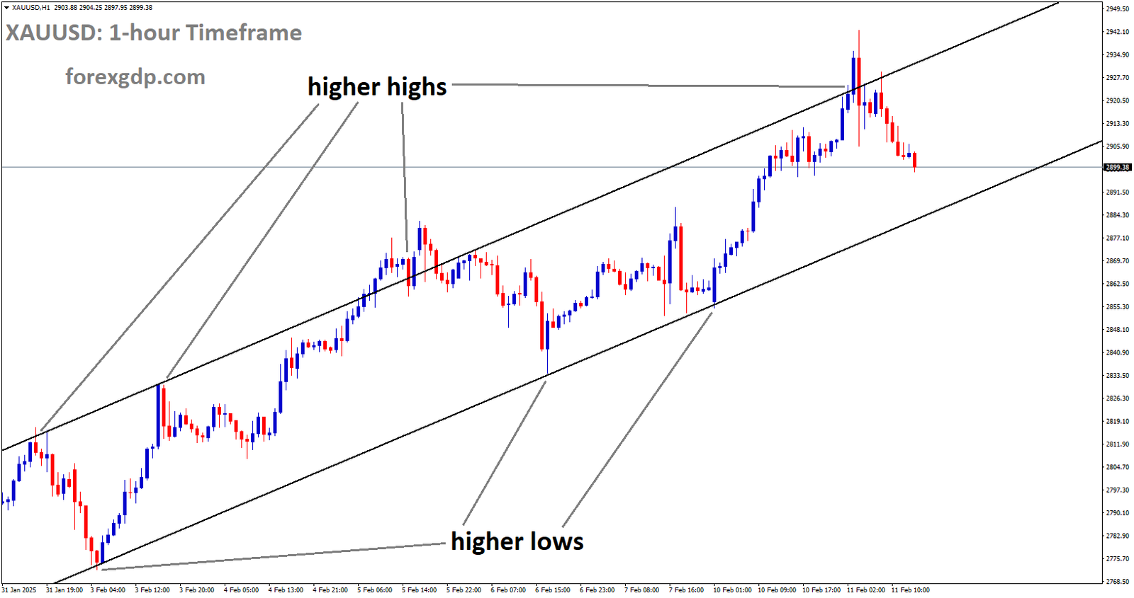 XAUUSD is moving in an Ascending channel and the market has fallen from the higher high area of the channel