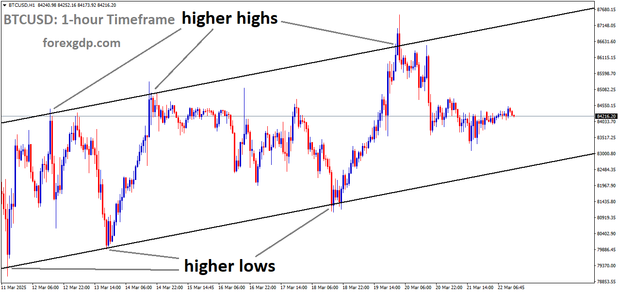 BTCUSD is moving in an Ascending channel and the market has fallen from the higher high area of the channel